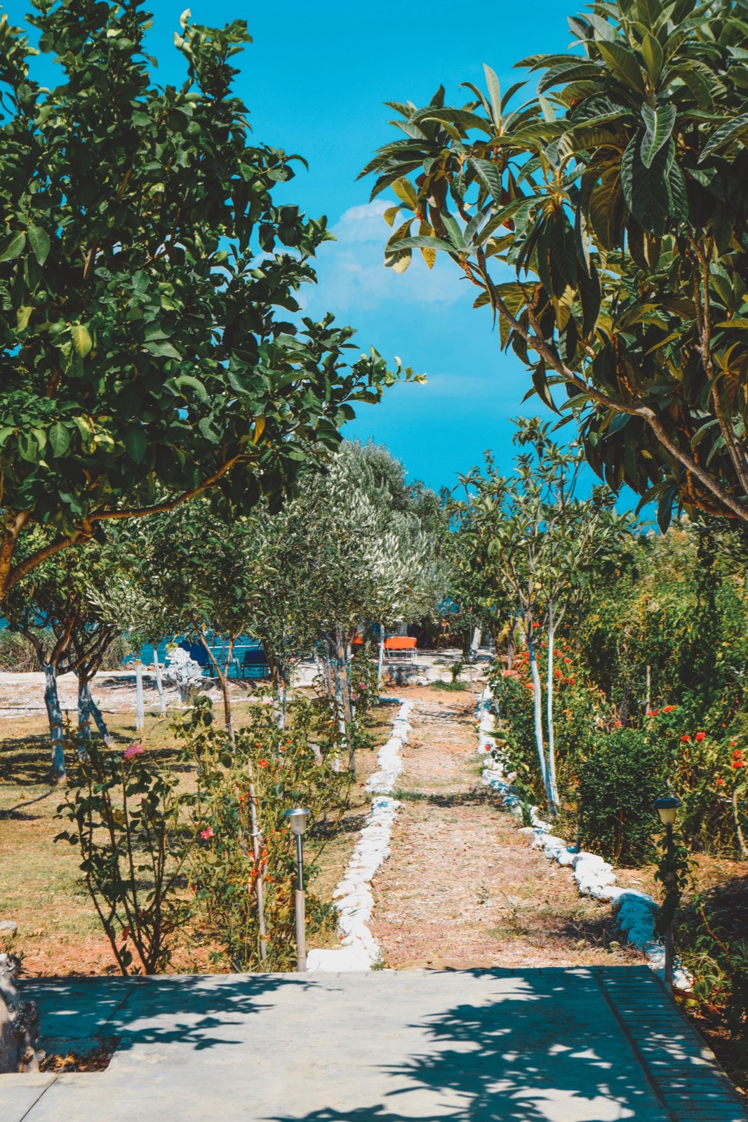 Βόλτα ανάμεσα στα δέντρα και τα λουλούδια του κήπου